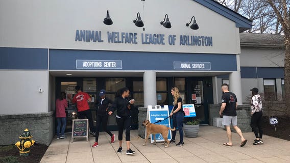 Coronavirus motivated social distancing prompting people to look for animal companionship