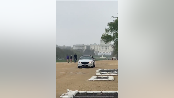 D.C. cops blast "Eye of the Tiger" to encourage (socially distant) runners on the National Mall