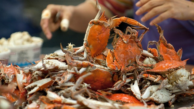 Coronavirus pandemic leaves Maryland's crab season in uncharted waters