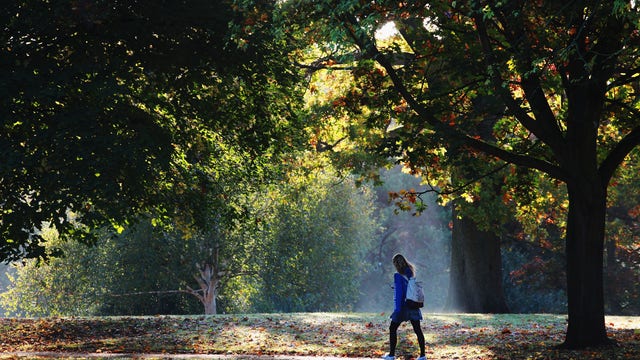 How to stay mentally healthy during self-isolation