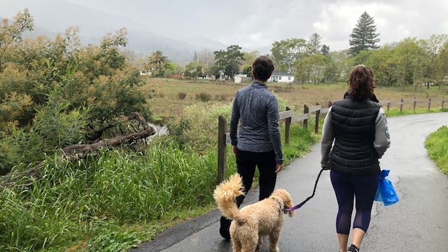 Going stir crazy in quarantine? Take a hike