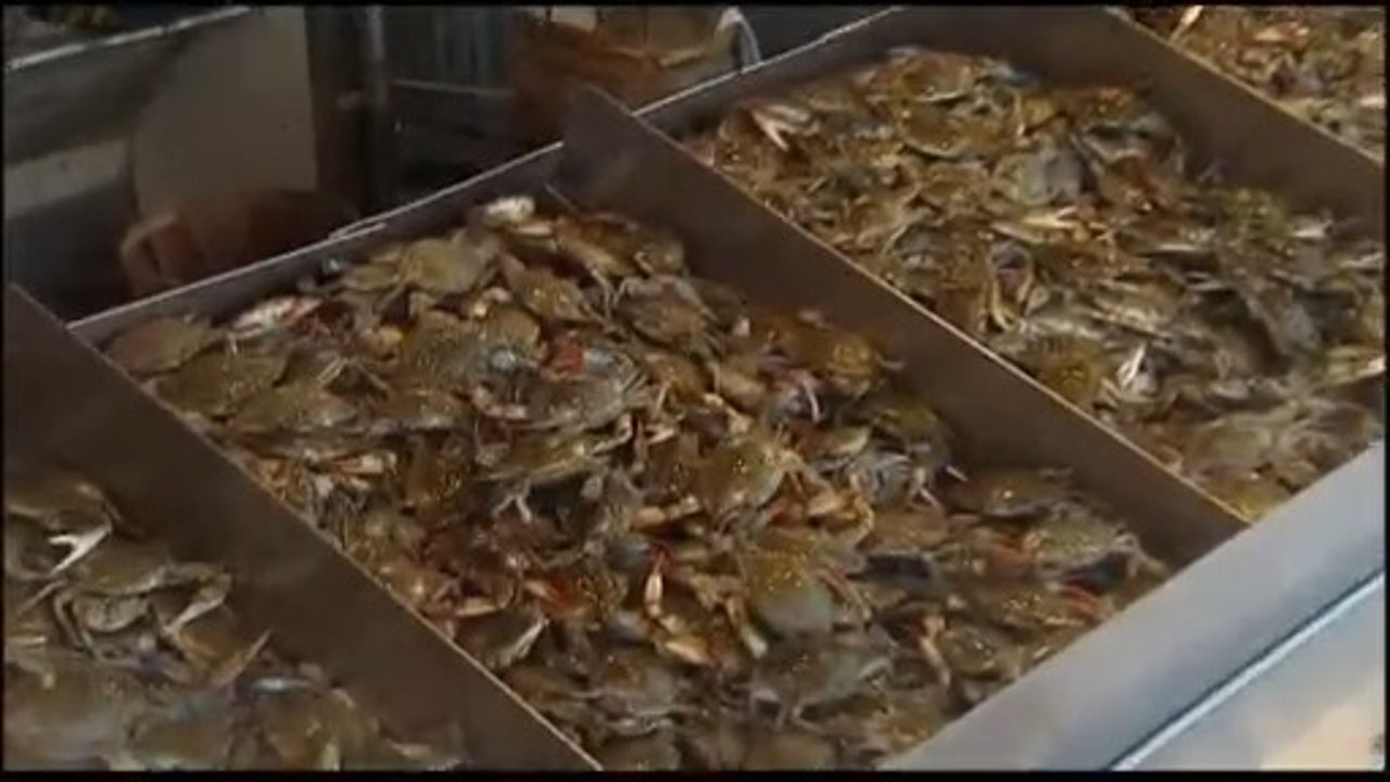 Maryland crab season expected to be impacted by coronavirus outbreak as