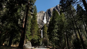 Yosemite National Park sees abundance of wildlife as coronavirus keeps tourists away