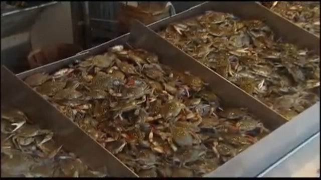Maryland crab season expected to be impacted by coronavirus outbreak as demand for seafood falls