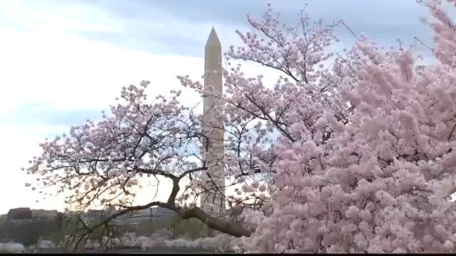 DC fights to enforce social distancing and braces for looming surge