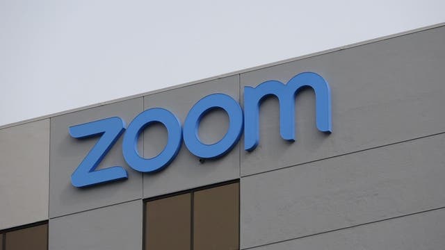 California city official resigns after allegedly throwing cat during Zoom meeting
