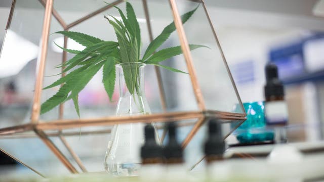 Medical marijuana available through delivery in DC