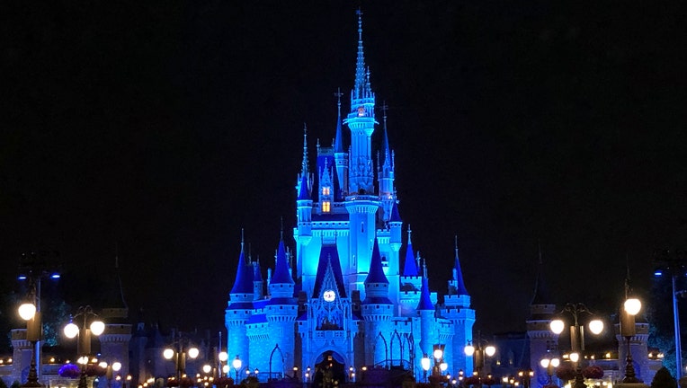 Cinderella Castle Medical Salute