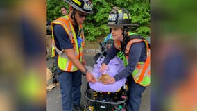 Fairfax County home owner, cat rescued from house fire