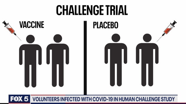 Volunteers infected with COVID-19 in human challenge study