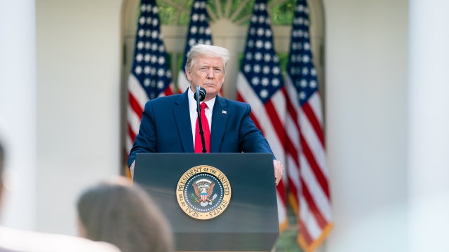 President Trump announces plan to develop coronavirus vaccine 'by the end of the year if we can'