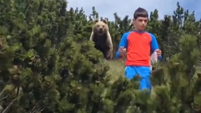 Nail-biting video shows boy’s close encounter with brown bear during hike in Italian mountains