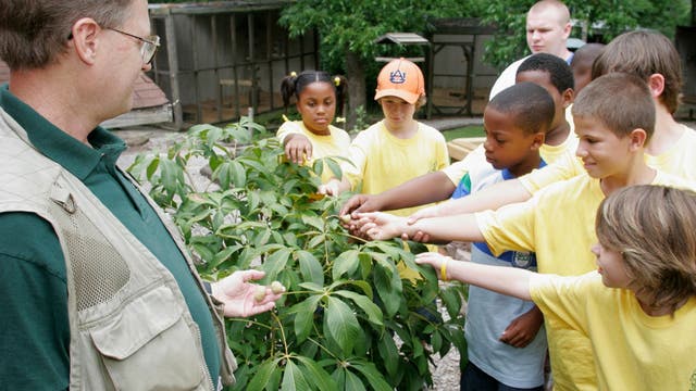 Arlington County cancels summer camps for 2020