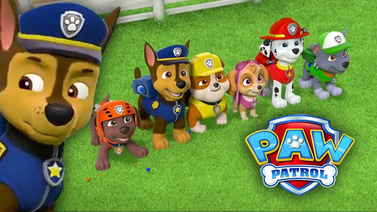 i want paw patrol paw patrol