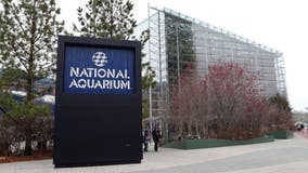 National Aquarium reopening next week