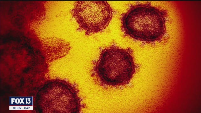 Study uncovers link between blood type and coronavirus susceptibility