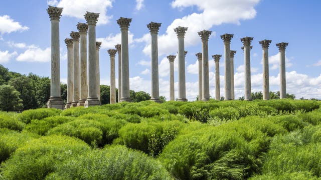 US National Arboretum reopens in DC with social distancing measures