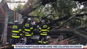 Tree crushes garage with over 20 inside in Anne Arundel County