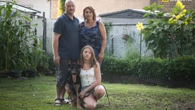 Buddy, the first dog in U.S. with coronavirus, dies on Staten Island