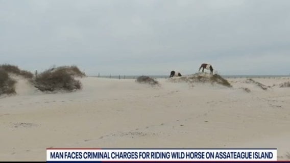 Man faces criminal charges for riding wild horse on Assateague Island