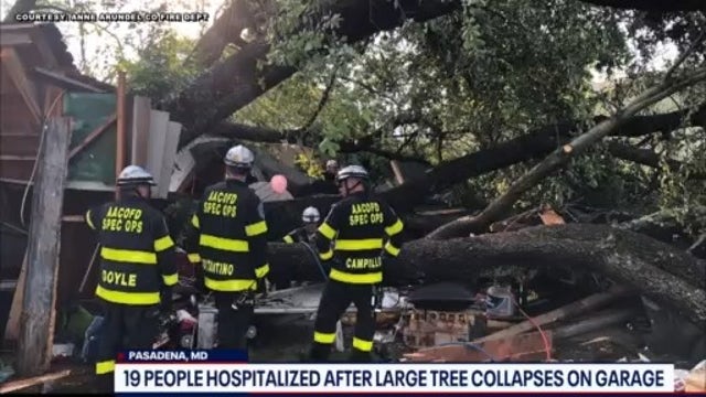 Tree crushes garage with over 20 inside in Anne Arundel County