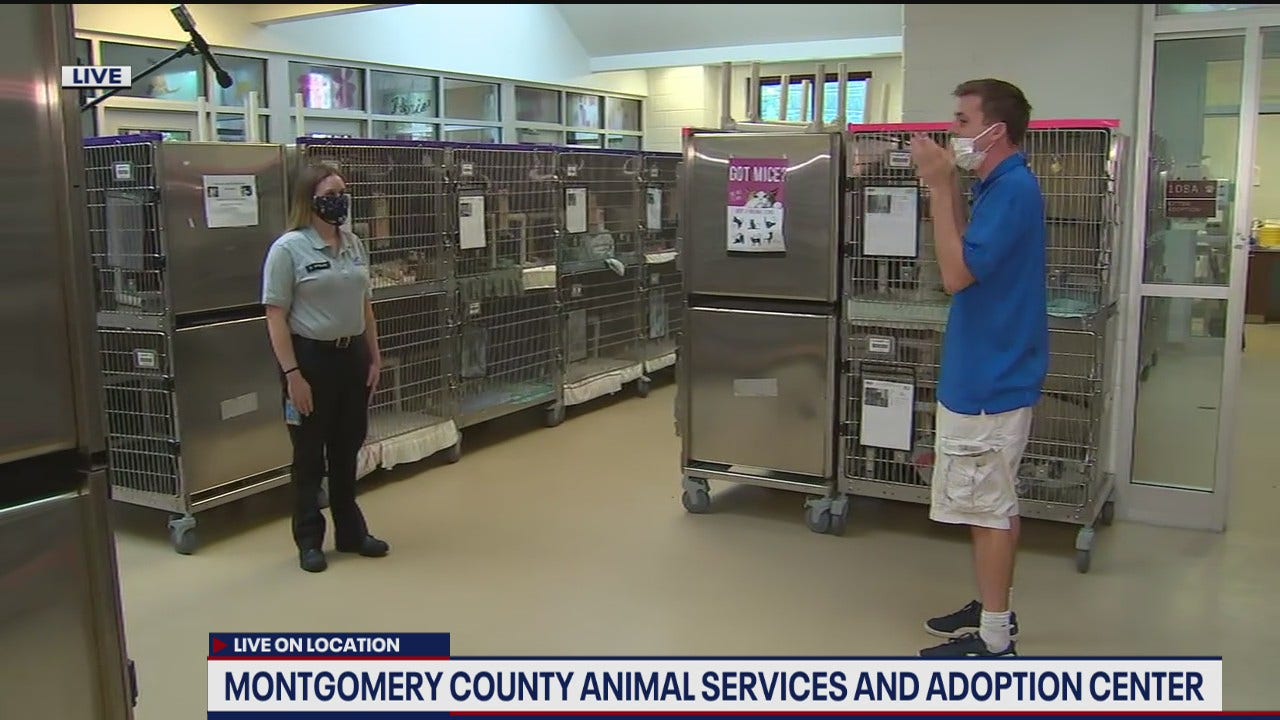 Montgomery County Animal Services and Adoption Center reopens for adoptions