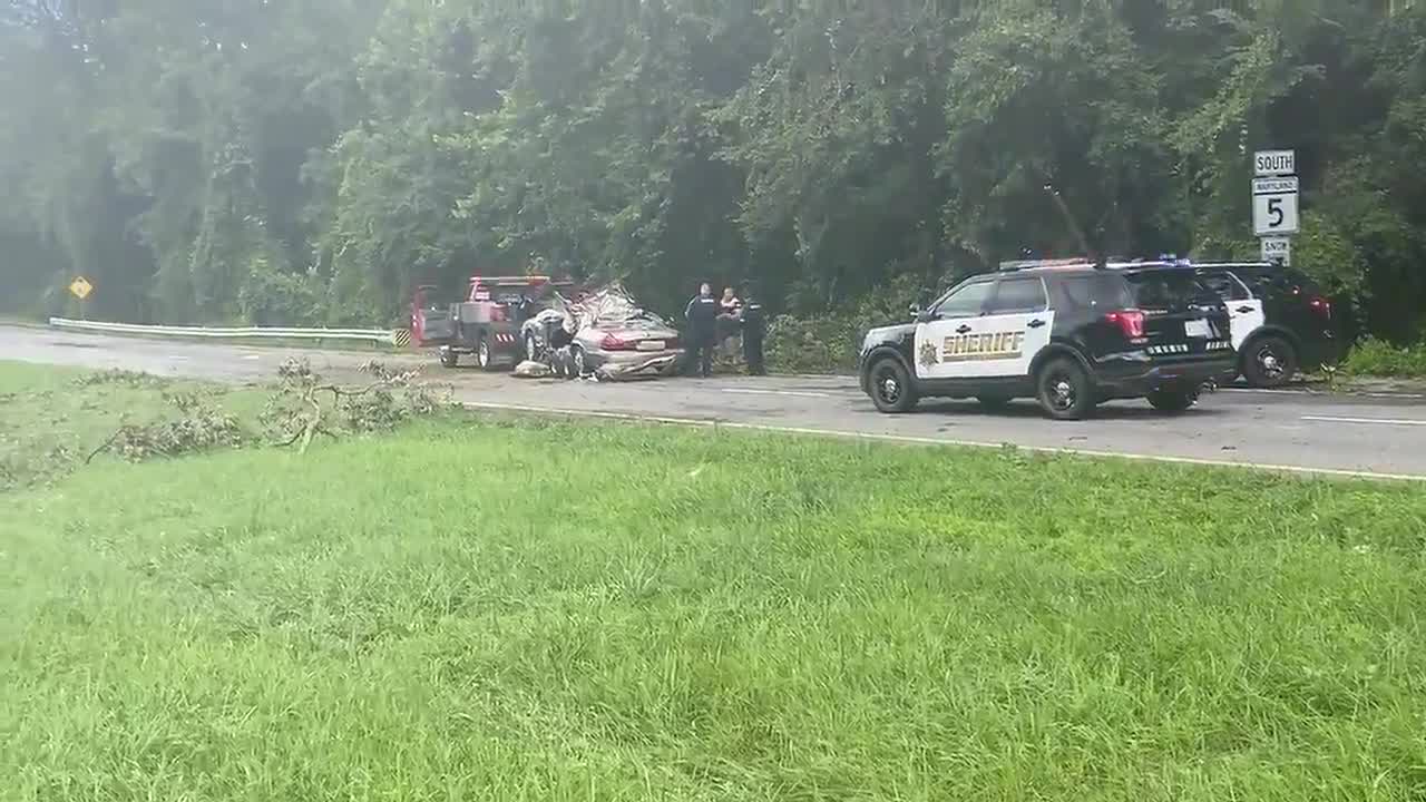 Driver Killed After Tree Falls On Vehicle