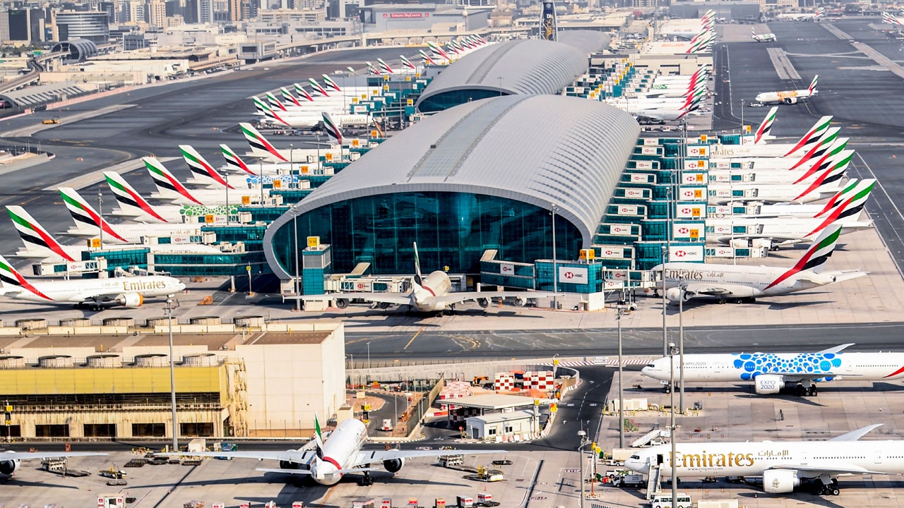 Coronavirus-sniffing dogs deployed at Dubai Airport with 91 percent ...