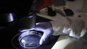 Low humidity, drier air may contribute to increased COVID-19 transmission risk, researchers find