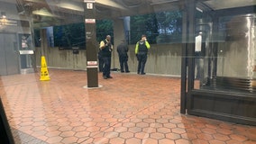 Crews rescue woman in wheelchair who fell onto tracks at Suitland Metro Station