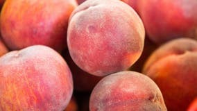 Salmonella outbreak linked to peaches across 9 states, including Maryland, Virginia