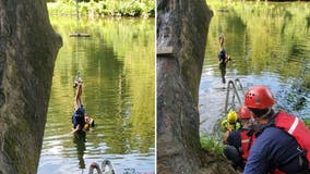 Maryland boy, 6, rescued after getting tangled upside-down in rope swing with head partially in water