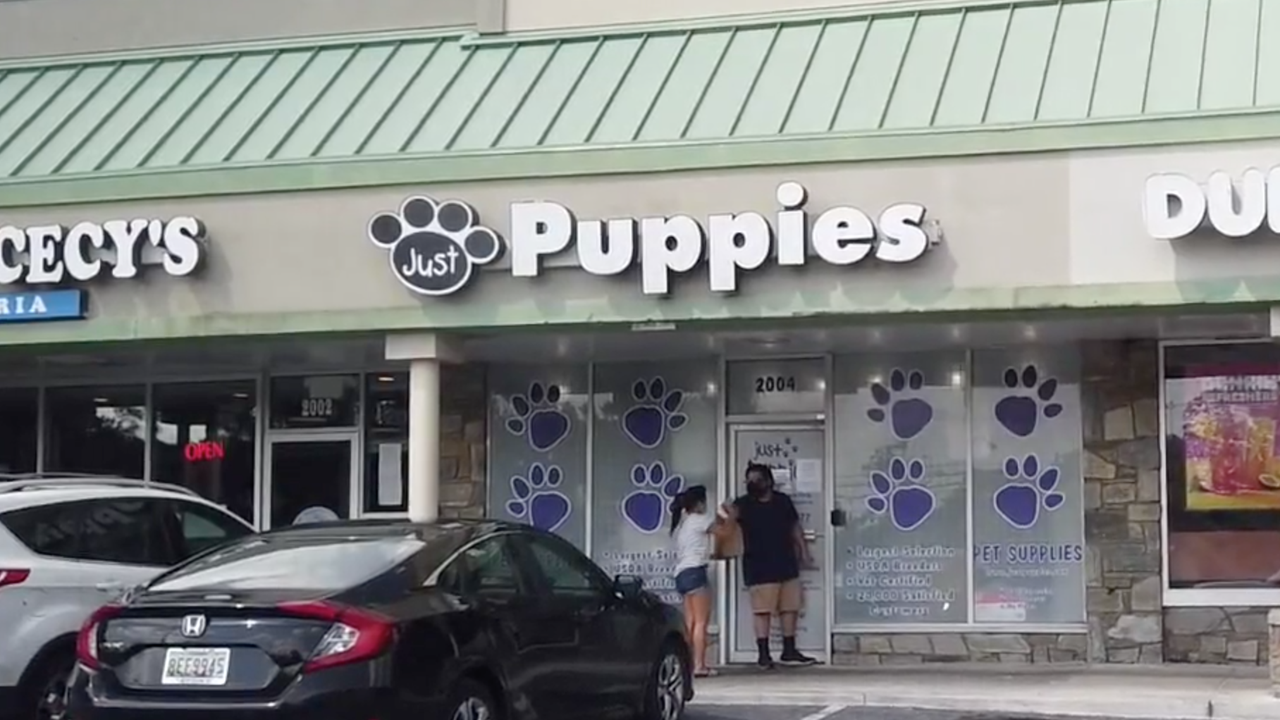 Rockville Voids Pet Store License After FOX 5 Report