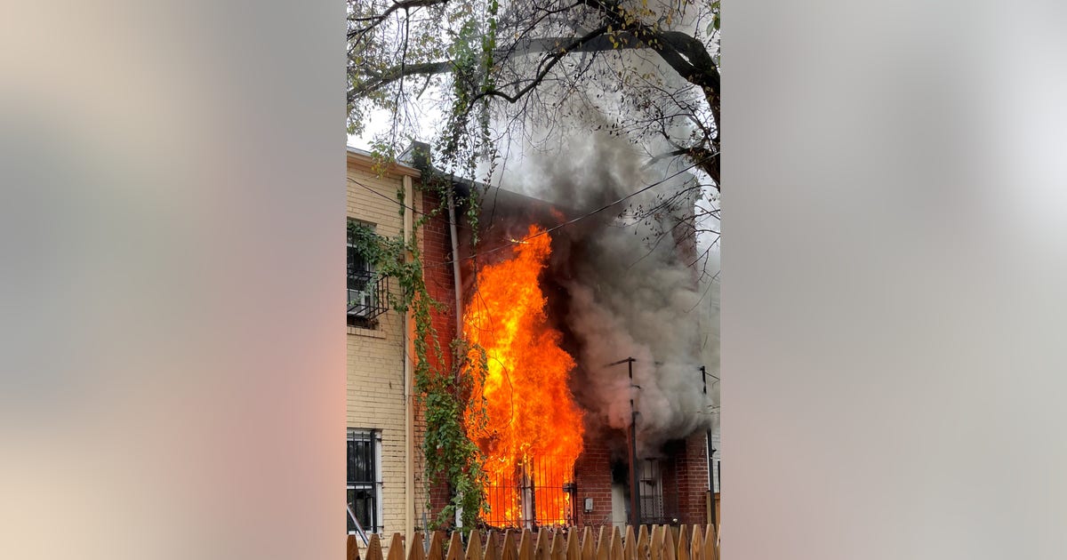 Two dogs killed in Northeast DC fire | FOX 5 DC