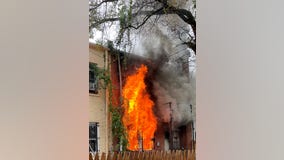 Two dogs killed in Northeast DC fire