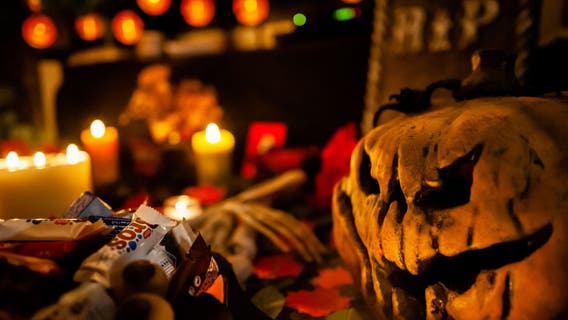 Kevin McCarthy's top 5 must-watch horror films this Halloween