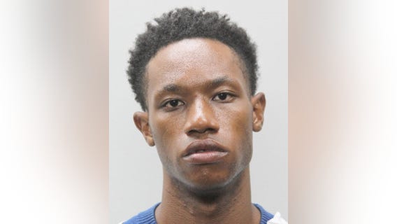 Reston man arrested in Silver Line attempted rape case