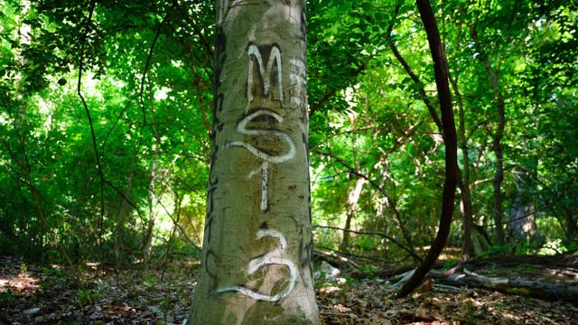 5 MS-13 gang members charged in connection with murders, racketeering investigations