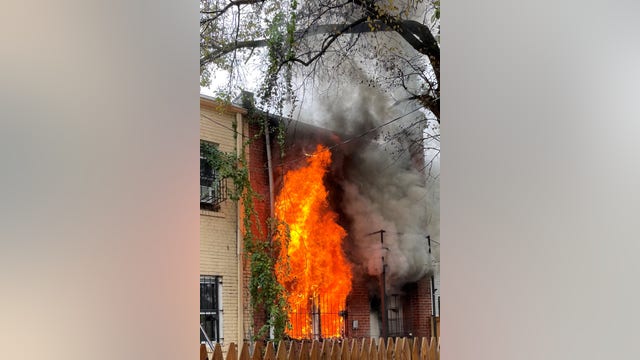 Two dogs killed in Northeast DC fire