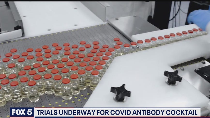 Trials underway for COVID antibody cocktail