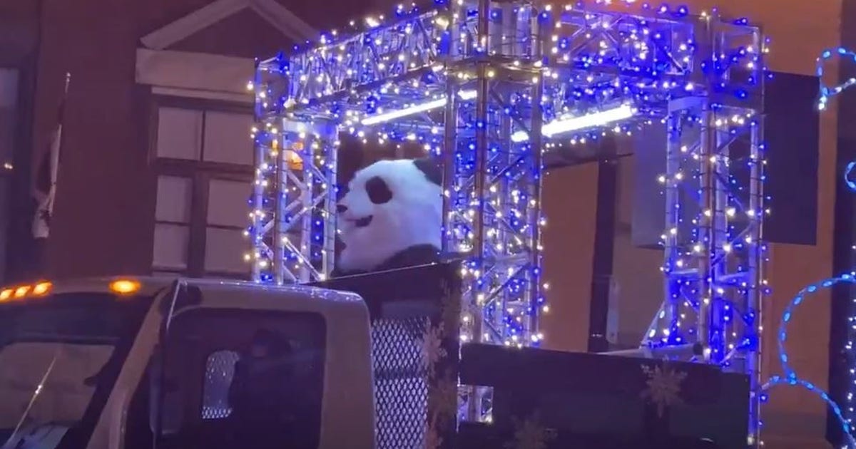Dancing panda rides the ZooLights Express and we are here for it