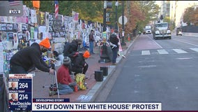 Activists protest in caravan around White House demanding all votes be counted