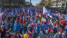 House Republicans call for hearings into violence against Trump supporters at MAGA march