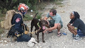Dog 'miraculously' survives plunge off 70-foot cliff in Texas