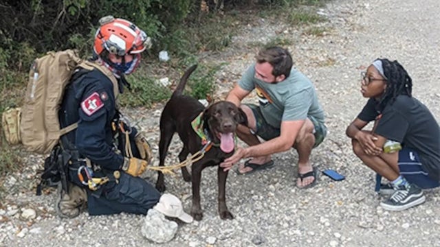Dog 'miraculously' survives plunge off 70-foot cliff in Texas
