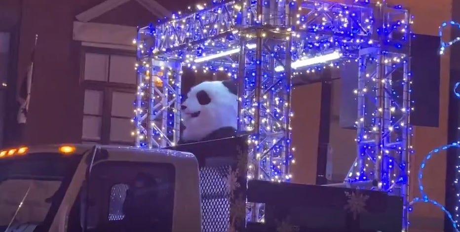 Dancing panda rides the ZooLights Express and we are here for it