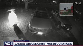 Bear caught on camera destroying Christmas display in Fairfax County