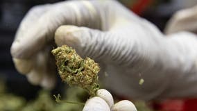Virginia lawmakers vote to legalize marijuana in 2024
