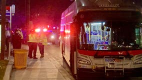 Pedestrian struck by bus in Takoma Park