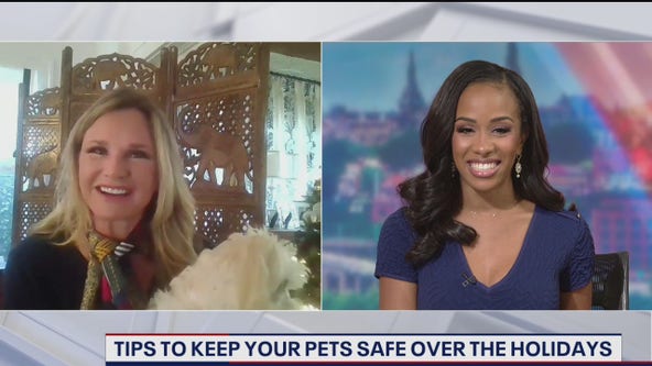 Keeping your pet safe and healthy during the holidays